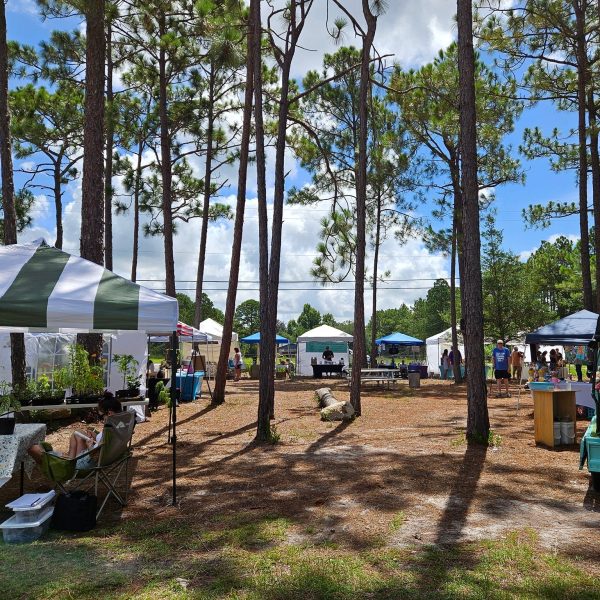 wren haven saturday market sq